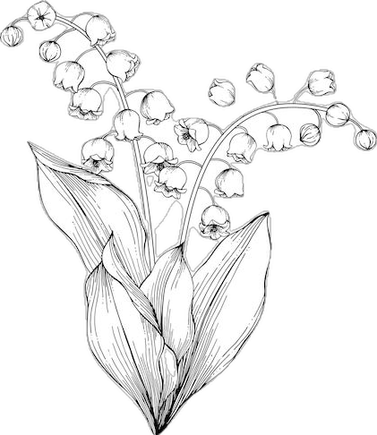 lily-of-the-valley-decal